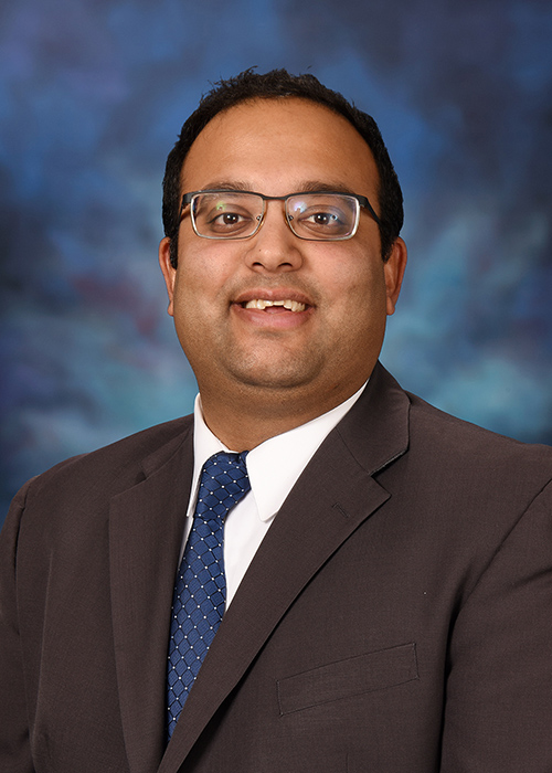 Photograph of  Senator  Ram Villivalam (D)